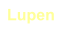 Lupen